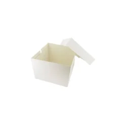 Boite à gâteau carton blanc 31 x 31 x 20 cm
