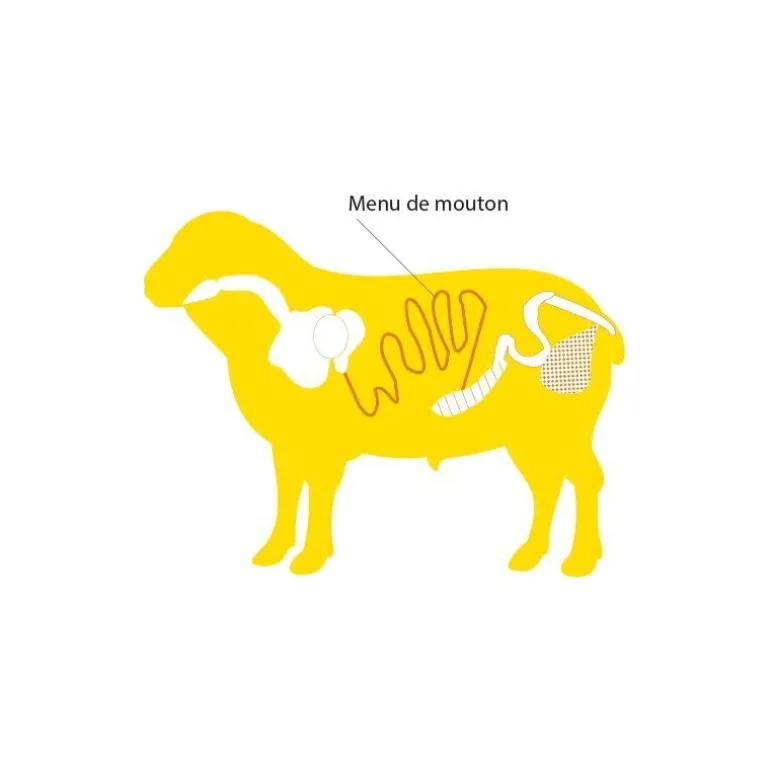 Boyaux de mouton 22/24 AB 15 m