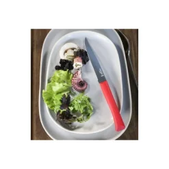 Couteau de table Bon Appétit + rouge