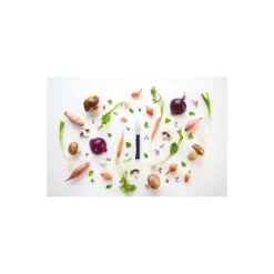 Couteau office n°225 Intempora 8 cm