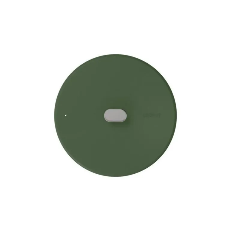 Couvercle inox La Merveilleuse vert fougère Ø 24 cm