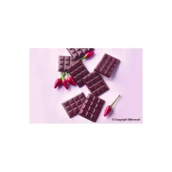 Moule mini-tablette chocolat 12 emp.