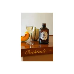 Sirop melon brut bio 400 ml