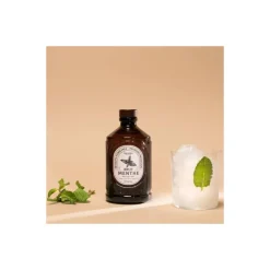 Sirop menthe brut bio 400 ml
